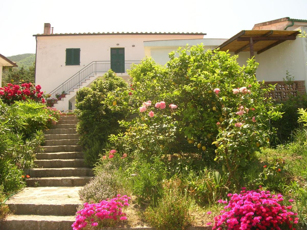 דירות Zanca Casa Vigna Maria מראה חיצוני תמונה